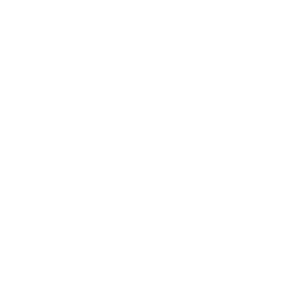 picto-electric car